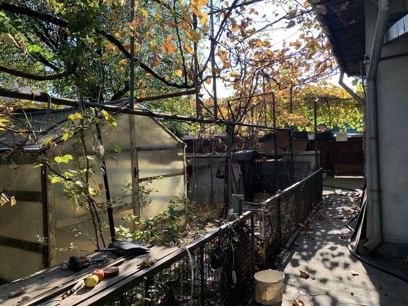 Aparatorii Patriei, statie metrou 1 min.