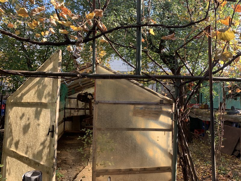 Aparatorii Patriei, statie metrou 1 min.